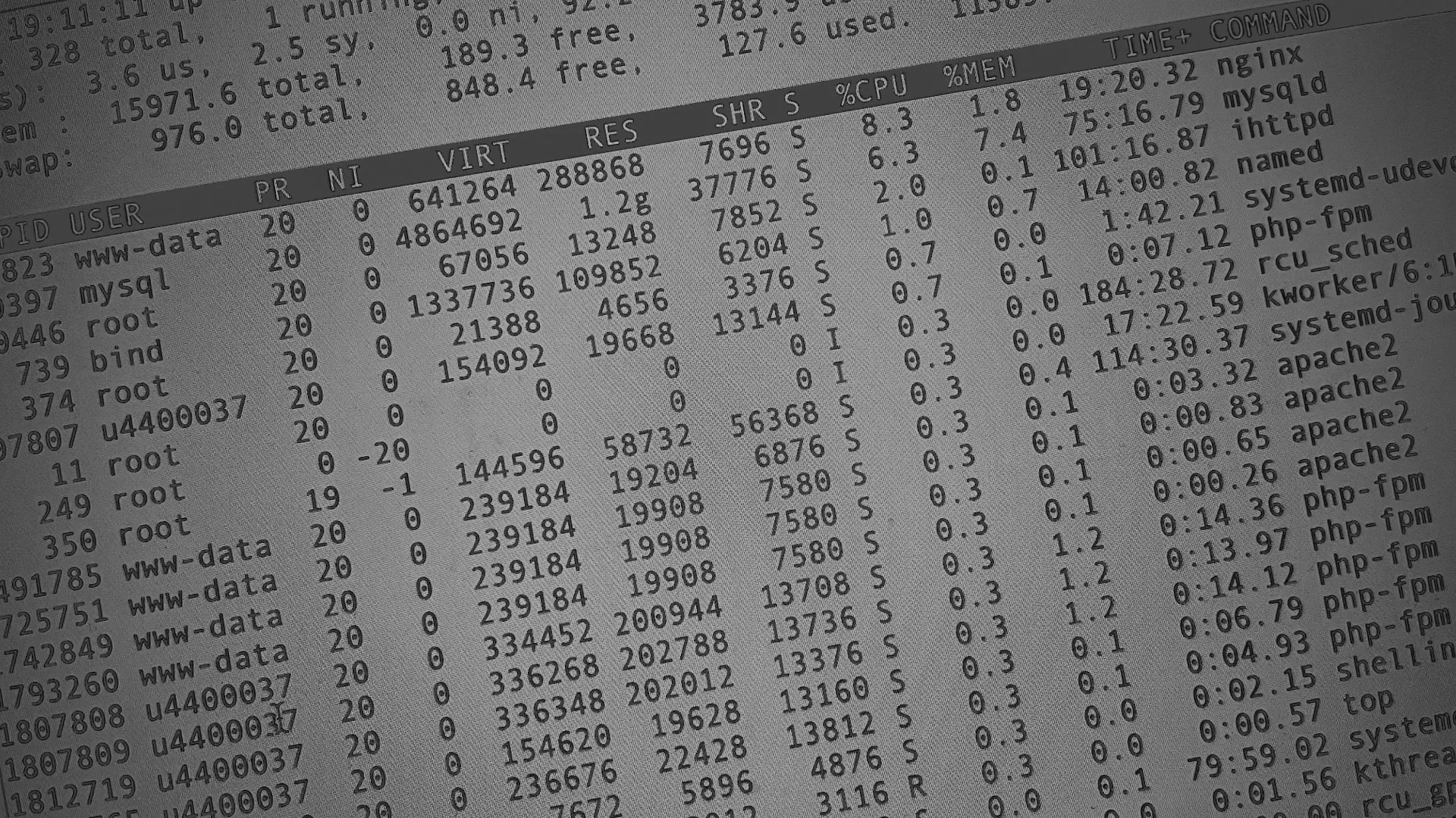 Настройка сервера в Лыткарино