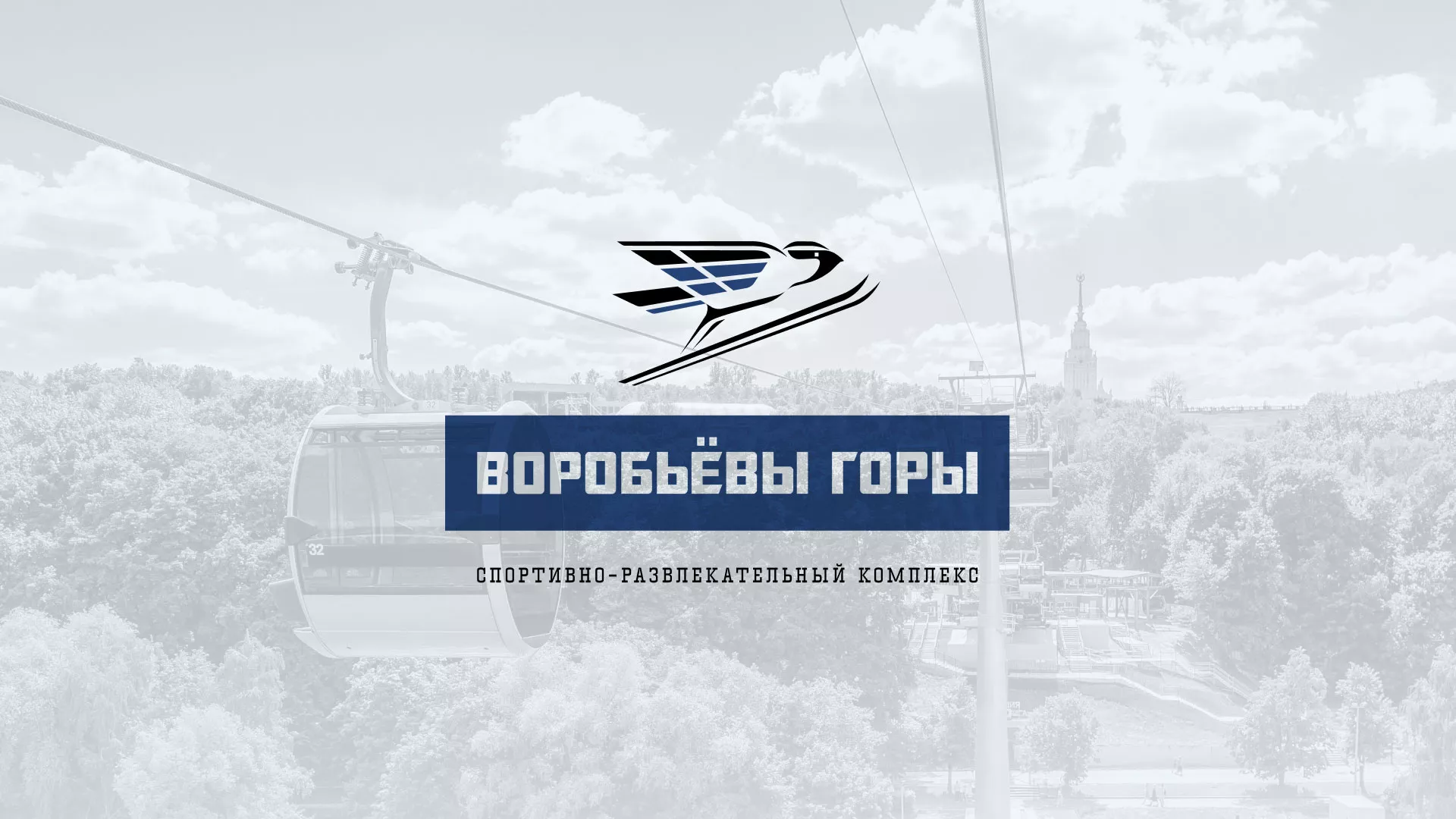 Разработка сайта в Лыткарино для спортивно-развлекательного комплекса «Воробьёвы горы»
