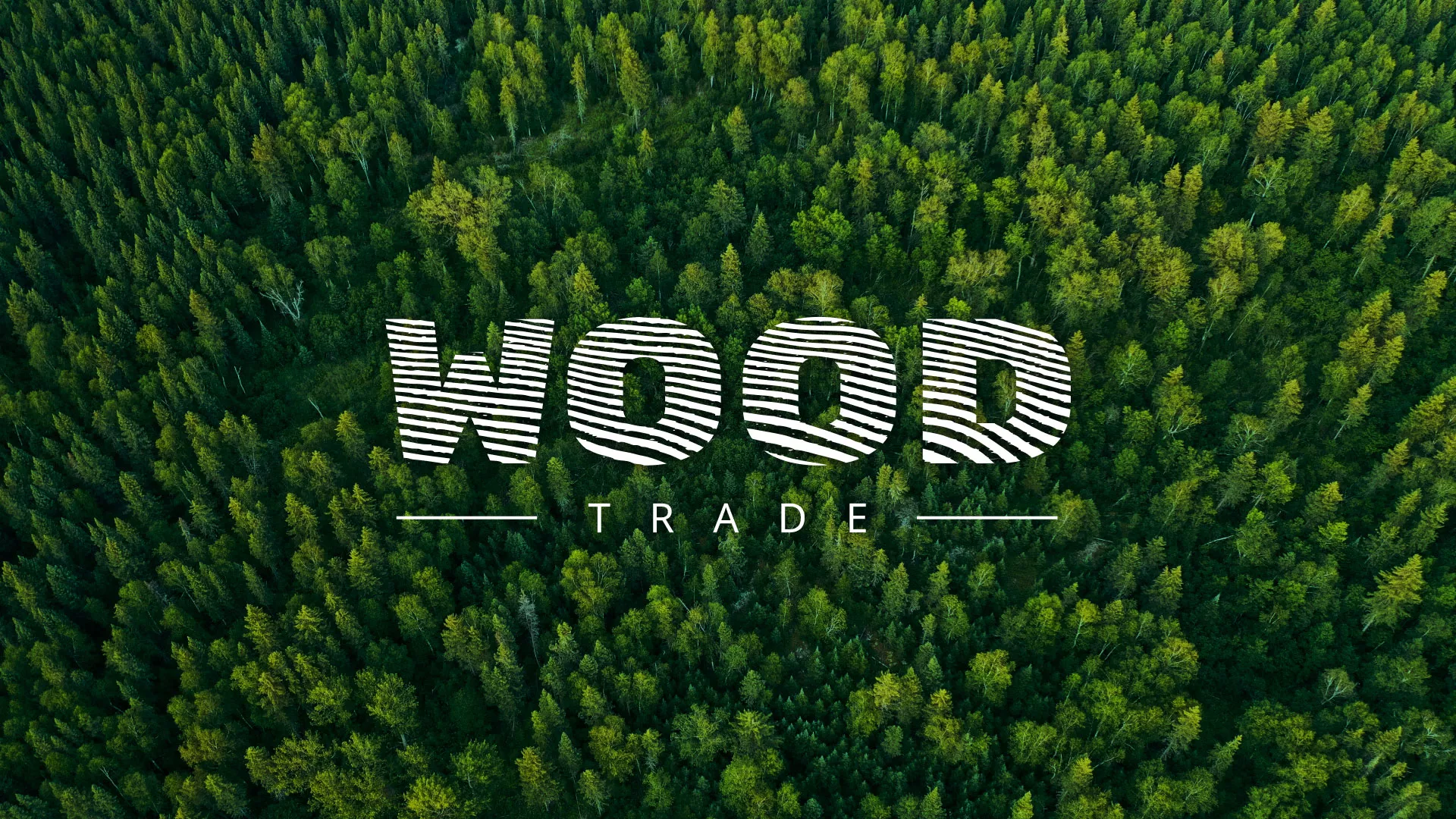 Разработка интернет-магазина компании «Wood Trade» в Лыткарино