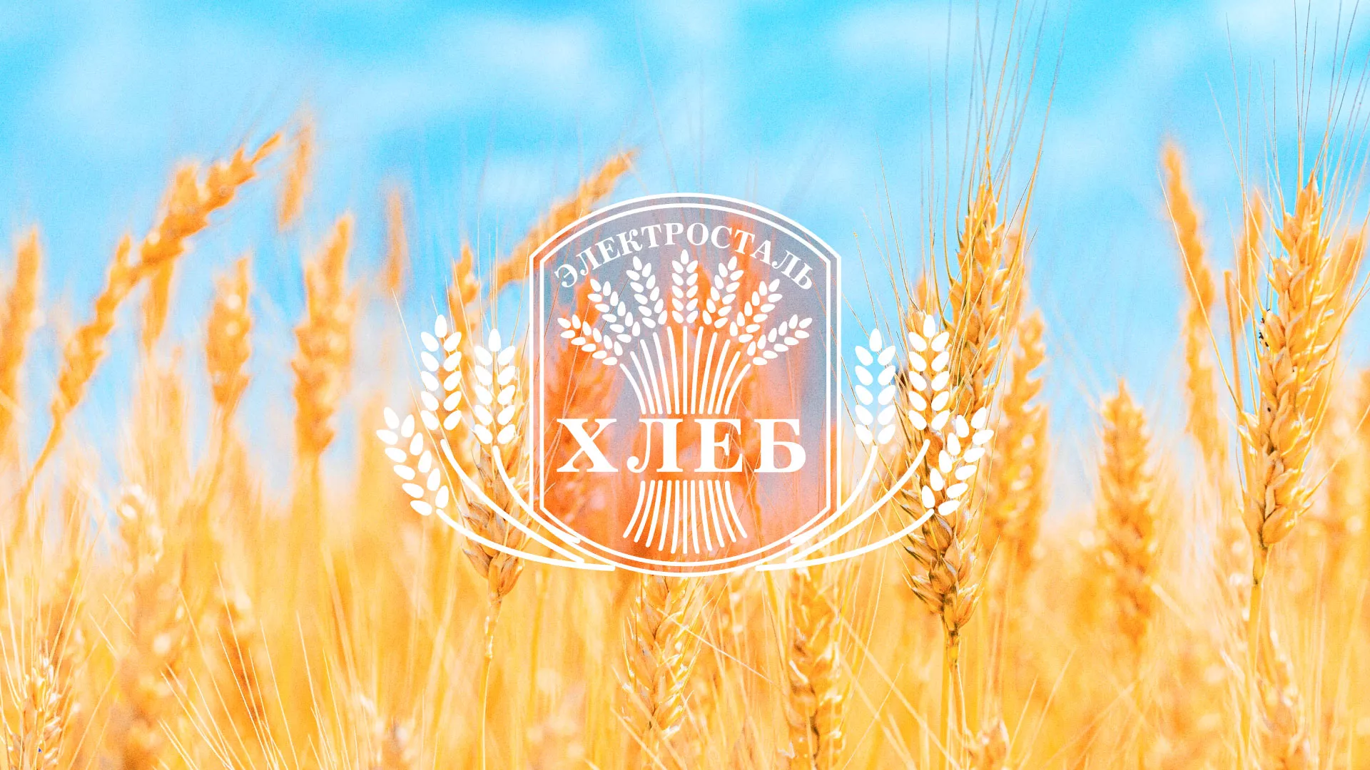 Создание сайта для хлебзавода в Лыткарино