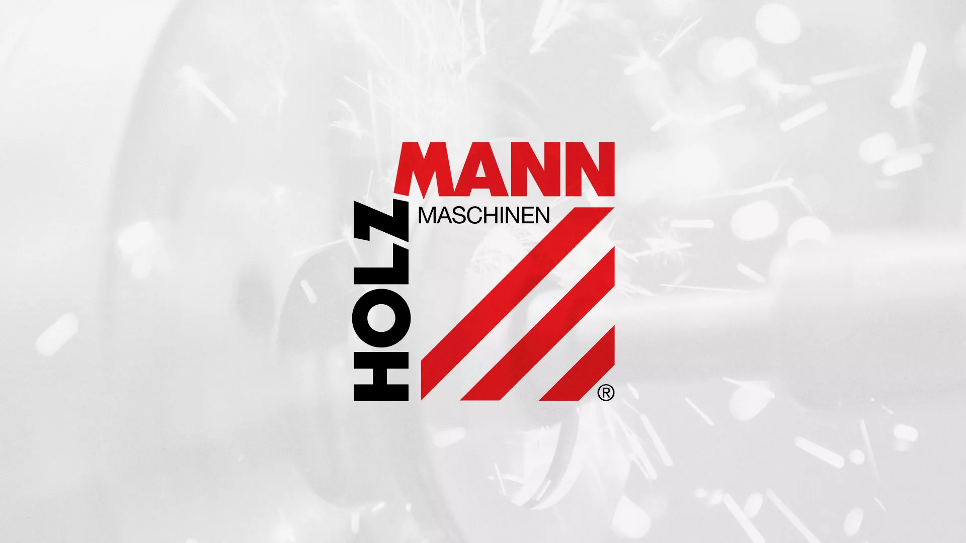 Создание сайта компании «HOLZMANN Maschinen GmbH» в Лыткарино