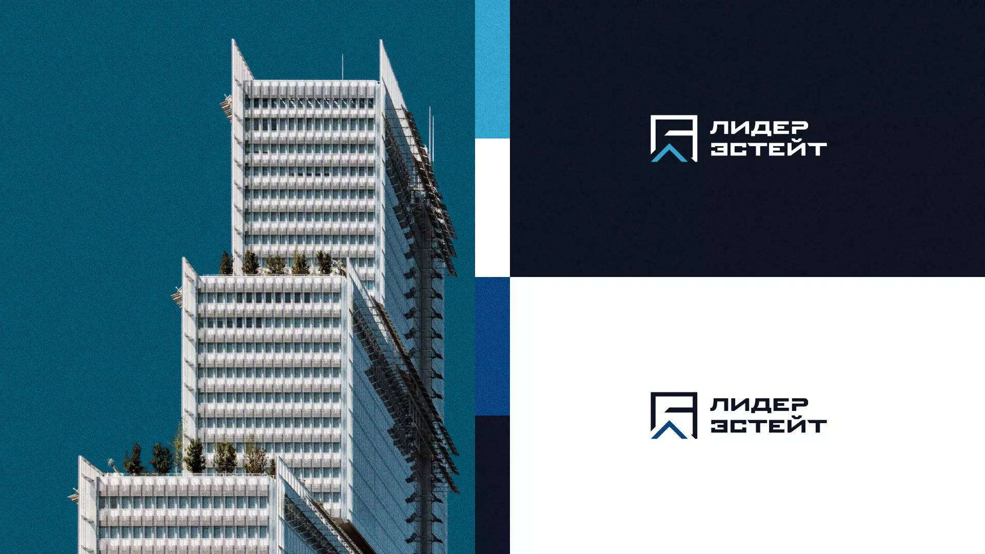 Разработка логотипа агентства недвижимости «Лидер Эстейт» в Лыткарино